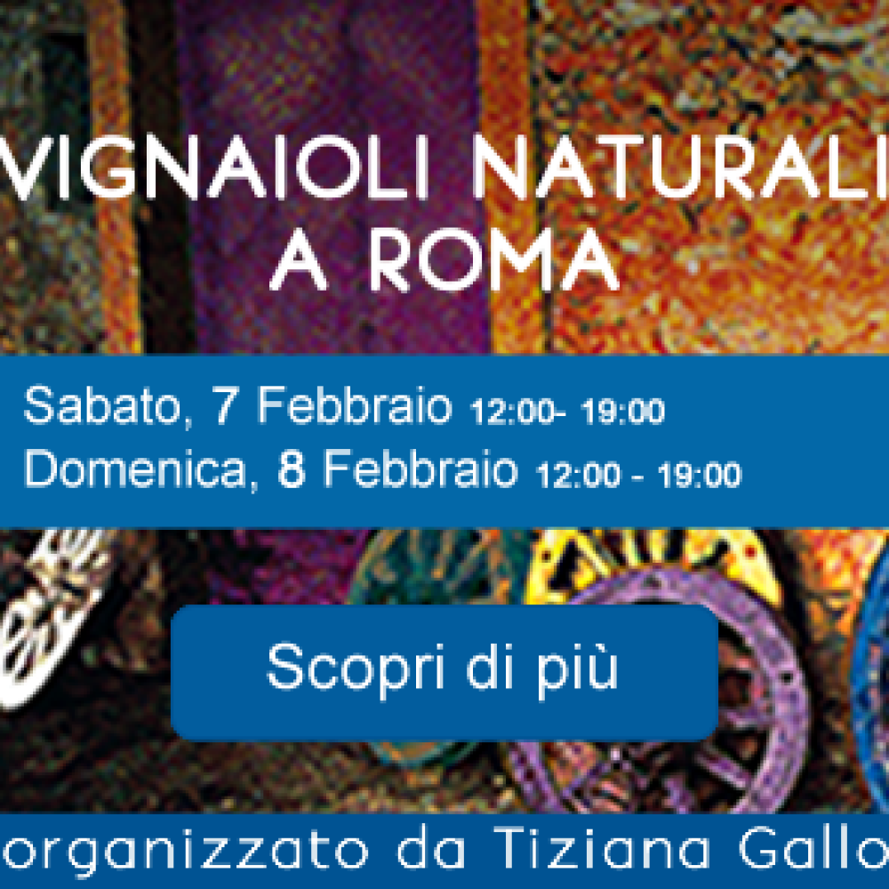 VIGNAIOLI NATURALI &#8211; ROMA 7-8 FEBBRAIO 2015