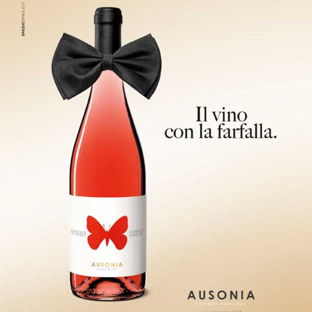 La nostra prima campagna pubblicitaria!