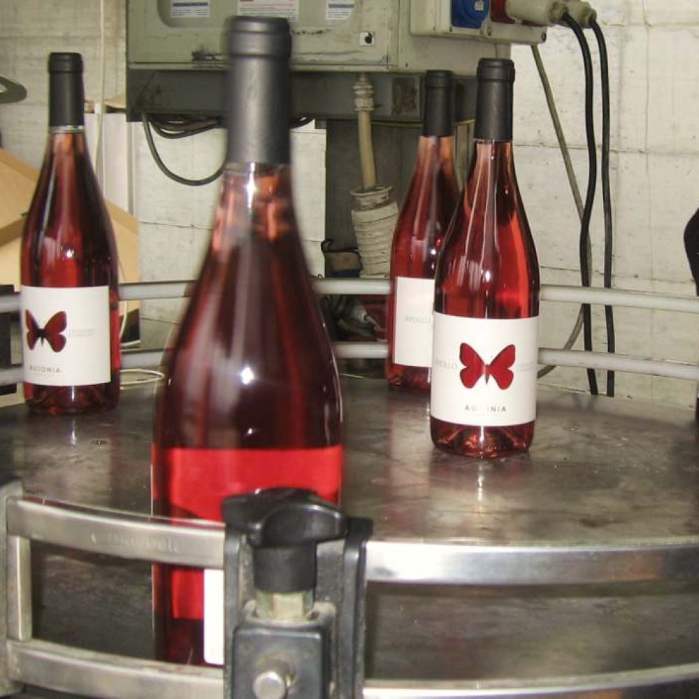 Abbiamo imbottigliato!