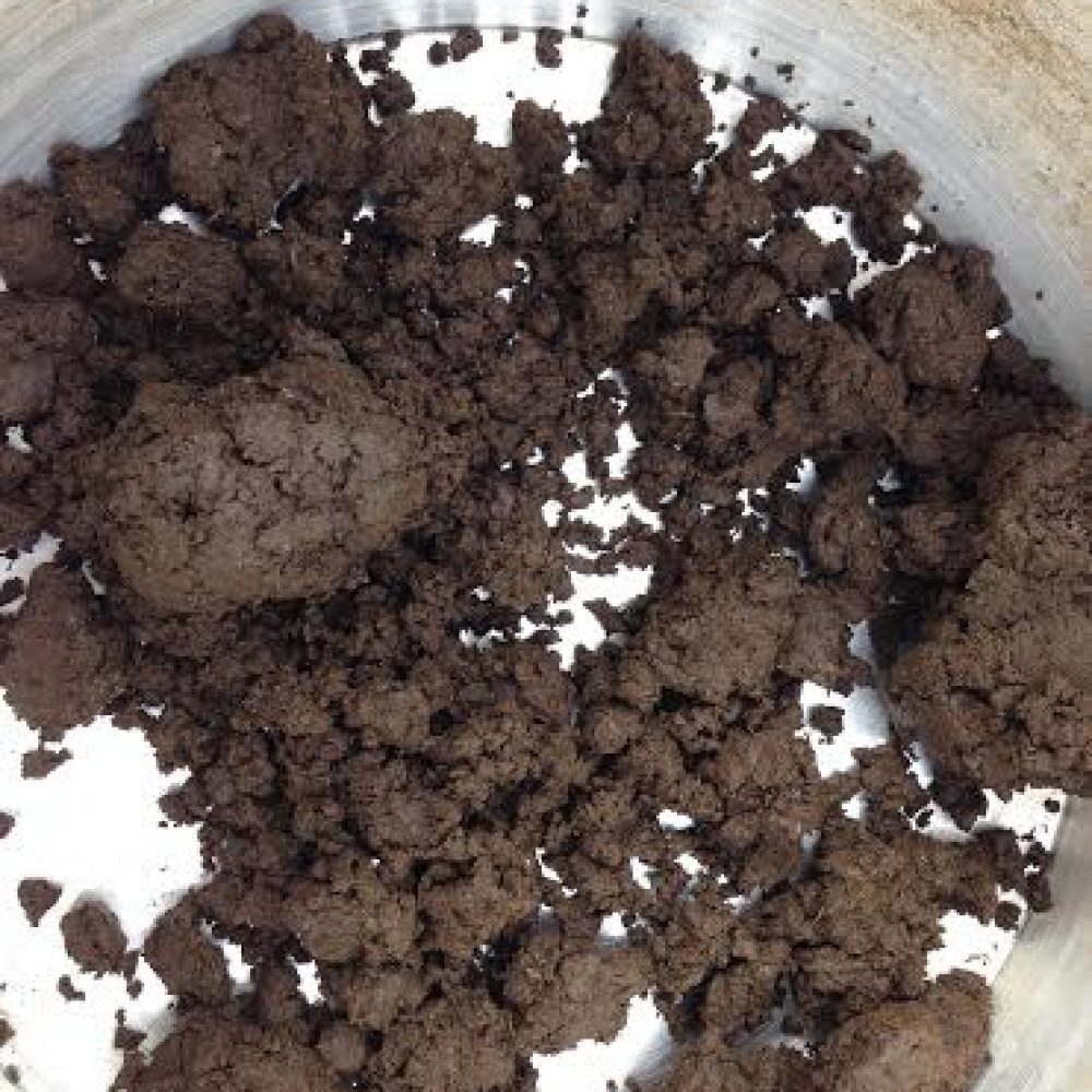 Dal Biologico al  Biodinamico